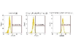 Flow Cytometry (FACS) image for anti-Lactate Dehydrogenase B (LDHB) (AA 1-334) antibody (APC) (ABIN5565783)