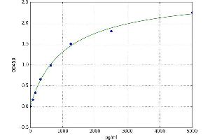 Tripartite Motif Containing 72 (TRIM72) ELISA Kit