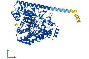 AlphaFold protein structure predicition of Mouse Recombinant Faah Protein, UniprotID O08914