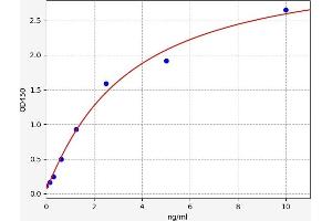 Apoptosis-Inducing Factor, Mitochondrion-Associated, 1 (AIFM1) ELISA Kit