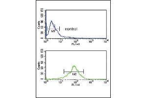 ACOT8 Antibody (C-term) (ABIN653089 and ABIN2842684) flow cytometric analysis of MDA-M cells (bottom histogram) compared to a negative control cell (top histogram).
