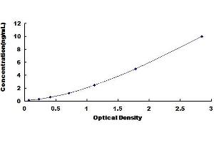 Sp7 Transcription Factor (SP7) ELISA Kit