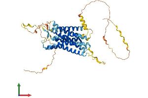 AlphaFold protein structure predicition of Human Recombinant GPR150 Protein, UniprotID Q8NGU9
