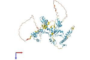 AlphaFold protein structure predicition of Mouse Recombinant Repin1 Protein, UniprotID Q5U4E2