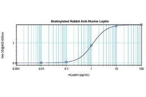 Image no. 1 for anti-Leptin (LEP) antibody (Biotin) (ABIN465756) (Leptin anticorps  (Biotin))