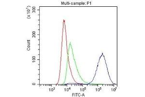 Flow Cytometry analysis of A549 cells using anti-CD147/Emmprin antibody .