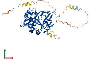 AlphaFold protein structure predicition of Mouse Recombinant Hmces Protein, UniprotID Q8R1M0