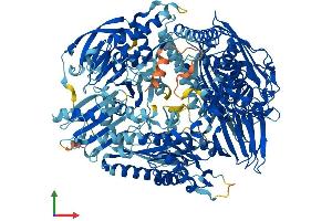 AlphaFold protein structure predicition of Human Recombinant OPLAH Protein, UniprotID O14841