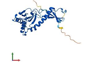 AlphaFold protein structure predicition of Human Recombinant MKRN2OS Protein, UniprotID H3BPM6