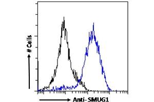 ABIN185204 Flow cytometric analysis of paraformaldehyde fixed MCF7 cells (blue line), permeabilized with 0.