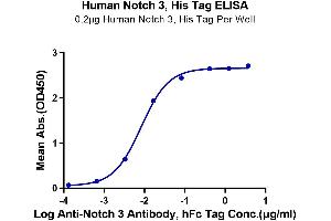 Immobilized Human Notch 3, His Tag at 2 μg/mL (100 μL/Well) on the plate.
