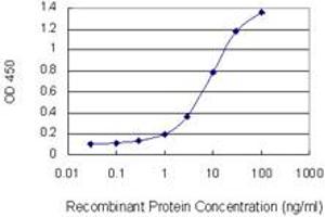Detection limit for recombinant GST tagged KRT10 is 0.