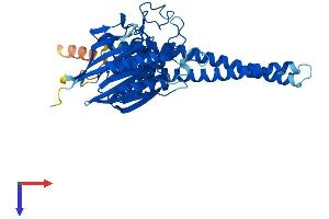 AlphaFold protein structure predicition of Mouse Recombinant Smpd2 Protein, UniprotID O70572