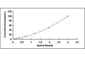 ELISA image for Plectin (PLEC) ELISA Kit (ABIN418427)