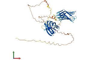 AlphaFold protein structure predicition of Mouse Recombinant Syt13 Protein, UniprotID Q9EQT6