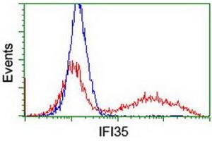 HEK293T cells transfected with either RC200929 overexpress plasmid (Red) or empty vector control plasmid (Blue) were immunostained by anti-IFI35 antibody (ABIN2454906), and then analyzed by flow cytometry. (IFI35 anticorps)
