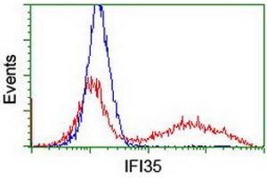 HEK293T cells transfected with either RC200929 overexpress plasmid (Red) or empty vector control plasmid (Blue) were immunostained by anti-IFI35 antibody (ABIN2454906), and then analyzed by flow cytometry.