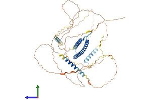 AlphaFold protein structure predicition of Human Recombinant TFE3 Protein, UniprotID P19532