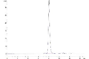 The purity of Human SIRP Beta 1 isoform 3 is greater than 95 % as determined by SEC-HPLC.