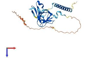 AlphaFold protein structure predicition of Human Recombinant OIP5 Protein, UniprotID O43482