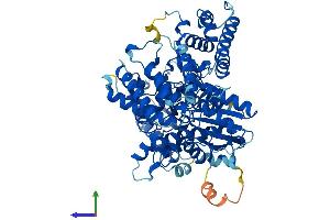 AlphaFold protein structure predicition of Human Recombinant SCFD2 Protein, UniprotID Q8WU76