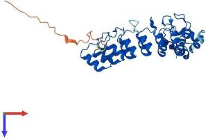 AlphaFold protein structure predicition of Mouse Recombinant Asb9 Protein, UniprotID Q91ZT8