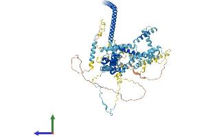 AlphaFold protein structure predicition of Human Recombinant CDC5L Protein, UniprotID Q99459