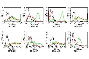 Specificity testing of TET2. (CEACAM 1,5,6,8 anticorps)