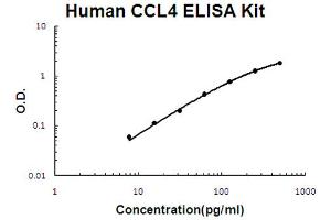 Human CCL4/MIP-1 beta Accusignal ELISA Kit Human CCL4/MIP-1 beta AccuSignal ELISA Kit standard curve. (CCL4 Kit ELISA)