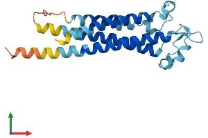 AlphaFold protein structure predicition of Human Recombinant TM4SF1 Protein, UniprotID P30408