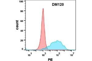 Flow cytometry analysis with Anti-CEACAM5 (DM120) on Expi293 cells transfected with human CEACAM5 (Blue histogram) or Expi293 transfected with irrelevant protein (Red histogram). (CEACAM5 anticorps  (AA 35-685))