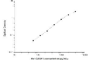 Caspase 1 (CASP1) ELISA Kit