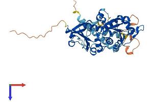 AlphaFold protein structure predicition of Mouse Recombinant Pcyt2 Protein, UniprotID Q922E4