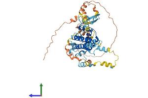 AlphaFold protein structure predicition of Human Recombinant PPP1R36 Protein, UniprotID Q96LQ0
