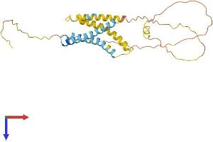 Transmembrane Protein 72 (TMEM72) (AA 1-275) protein (His tag)