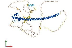 AlphaFold protein structure predicition of Mouse Recombinant Mafa Protein, UniprotID Q8CF90