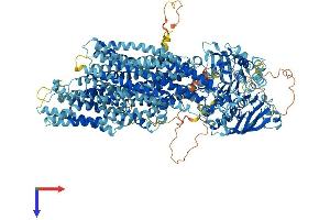 AlphaFold protein structure predicition of Human Recombinant ABCC3 Protein, UniprotID O15438