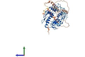 AlphaFold protein structure predicition of Human Recombinant ZNF852 Protein, UniprotID Q6ZMS4