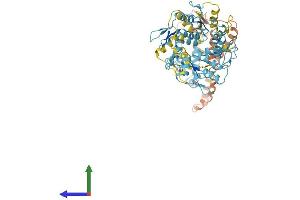 AlphaFold protein structure predicition of Human Recombinant ZNF732 Protein, UniprotID B4DXR9