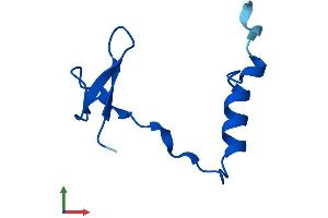 AlphaFold protein structure predicition of Human Recombinant NOP10 Protein, UniprotID Q9NPE3