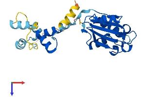 AlphaFold protein structure predicition of Mouse Recombinant Pdc Protein, UniprotID Q9QW08