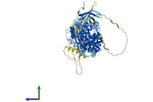 AlphaFold protein structure predicition of Mouse Recombinant Ocrl Protein, UniprotID Q6NVF0