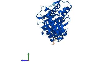 AlphaFold protein structure predicition of Human Recombinant IMPA2 Protein, UniprotID O14732