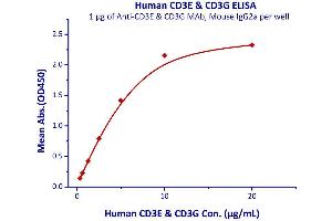 Immobilized Anti-CD3E & CD3G MAb, Mouse IgG2a at 10μg/mL (100 μL/well) can bind Human CD3E & CD3G  with a linear range of 0.