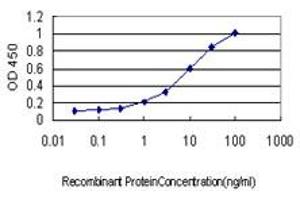 Detection limit for recombinant GST tagged PML is approximately 0.