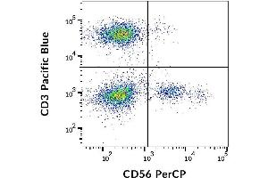 Surface staining of human peripheral blood lymphocytes with anti-CD56 (MEM-188) PerCP. (CD56 anticorps  (PerCP))