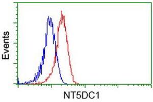 Image no. 3 for anti-5'-Nucleotidase Domain Containing 1 (NT5DC1) antibody (ABIN1499833) (NT5DC1 anticorps)