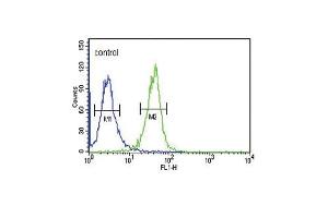 DNAJC6 Antibody (Center) (ABIN653940 and ABIN2843170) flow cytometric analysis of K562 cells (right histogram) compared to a negative control cell (left histogram).