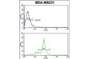 SC Antibody (C-term) (ABIN6243156 and ABIN6578976) flow cytometric analysis of MDA-M cells (bottom histogram) compared to a negative control cell (top histogram). (DIABLO anticorps  (C-Term))