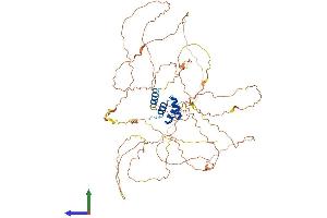 AlphaFold protein structure predicition of Human Recombinant RSC1A1 Protein, UniprotID Q92681